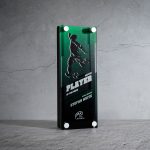 Best Player Award