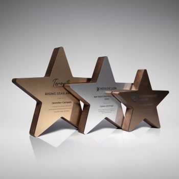 Creative Star Award