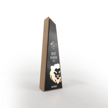 Custom Best Player Sports Award