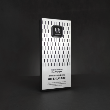 Custom corporate sales award