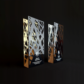 Custom Professional Achievement Trophy