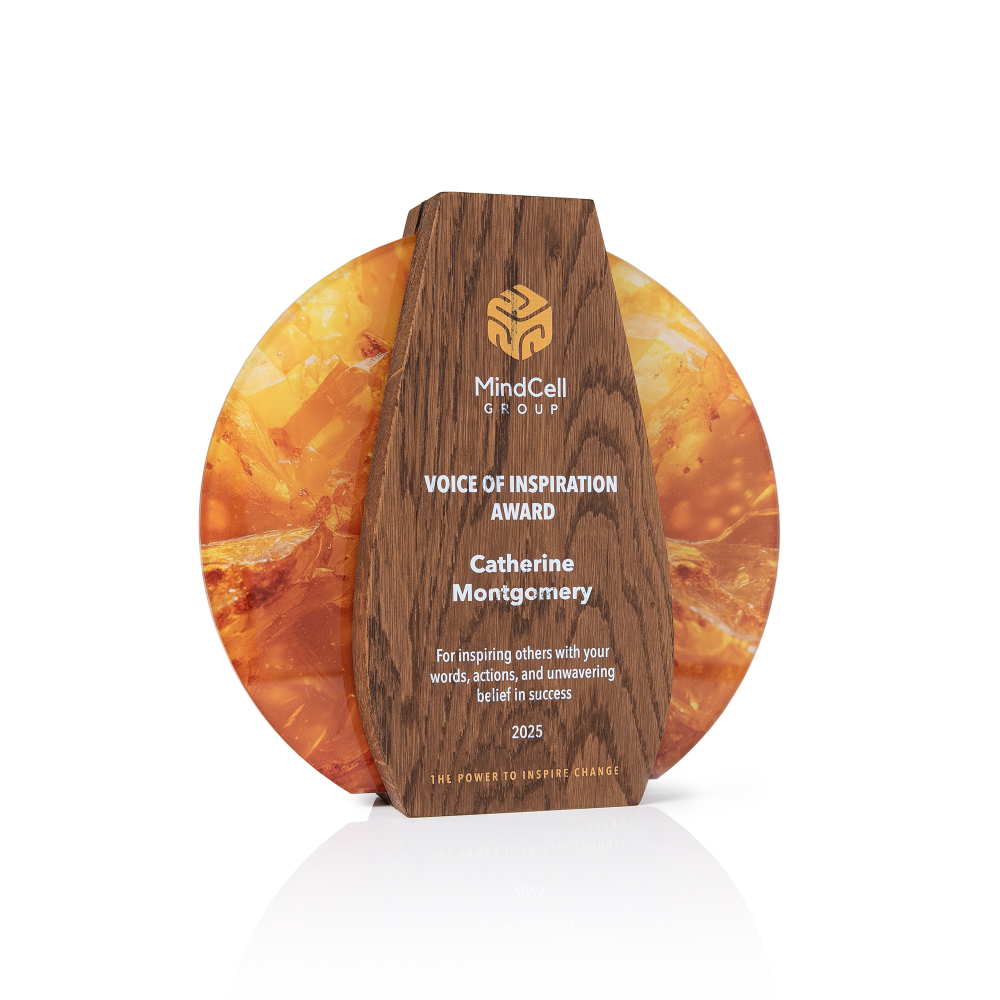 Custom corporate awards and trophies